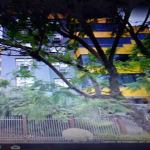 Apartamento 3 dormitórios 