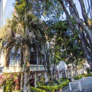   Apartamento Petrópolis Porto Alegre