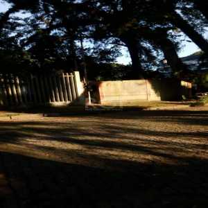  Terreno Ipanema porto alegre