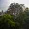 
Apartamento Higienópolis Porto Alegre 7