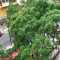 
Apartamento Centro historico Porto Alegre 5