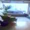 Apartamento Tristeza Alegre