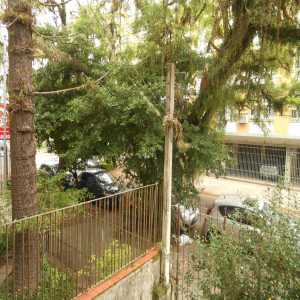 Casa com 3 dormitórios no bairro Bela Vista