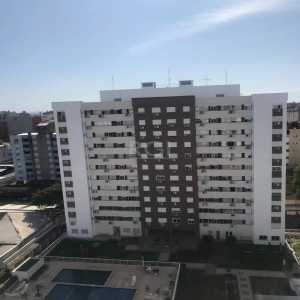 Apartamento Jardim Carvalho Alegre