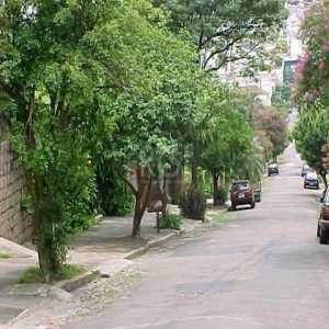  Terreno Rio Branco porto alegre